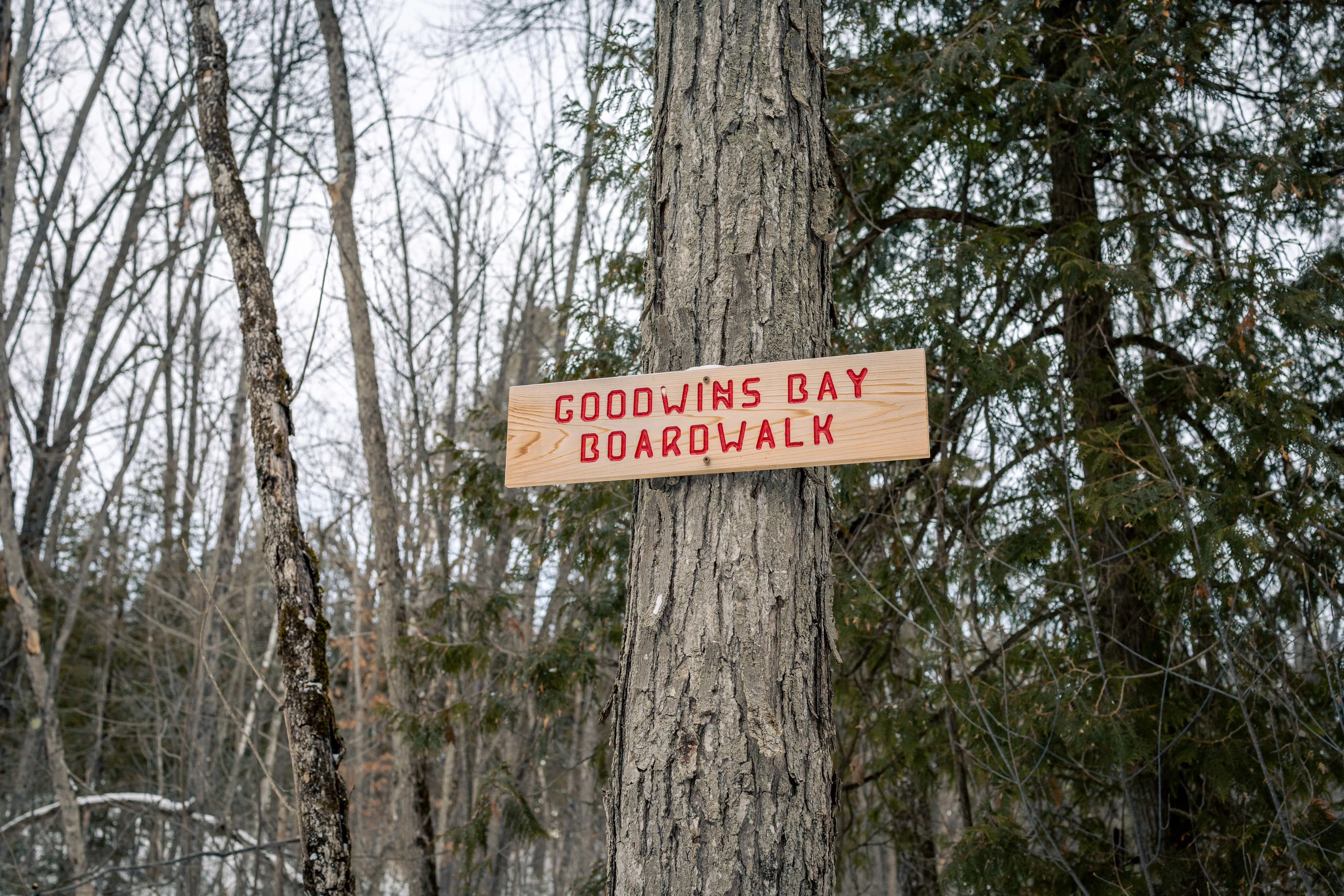 SNOVAP Winter Adventure Hike: Intermediate