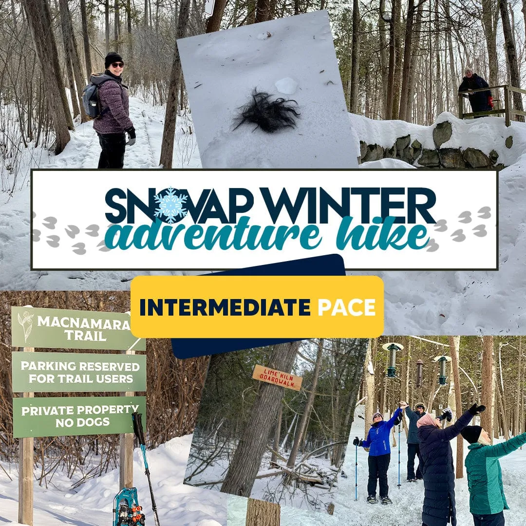 SNOVAP Winter Adventure Hike: Intermediate