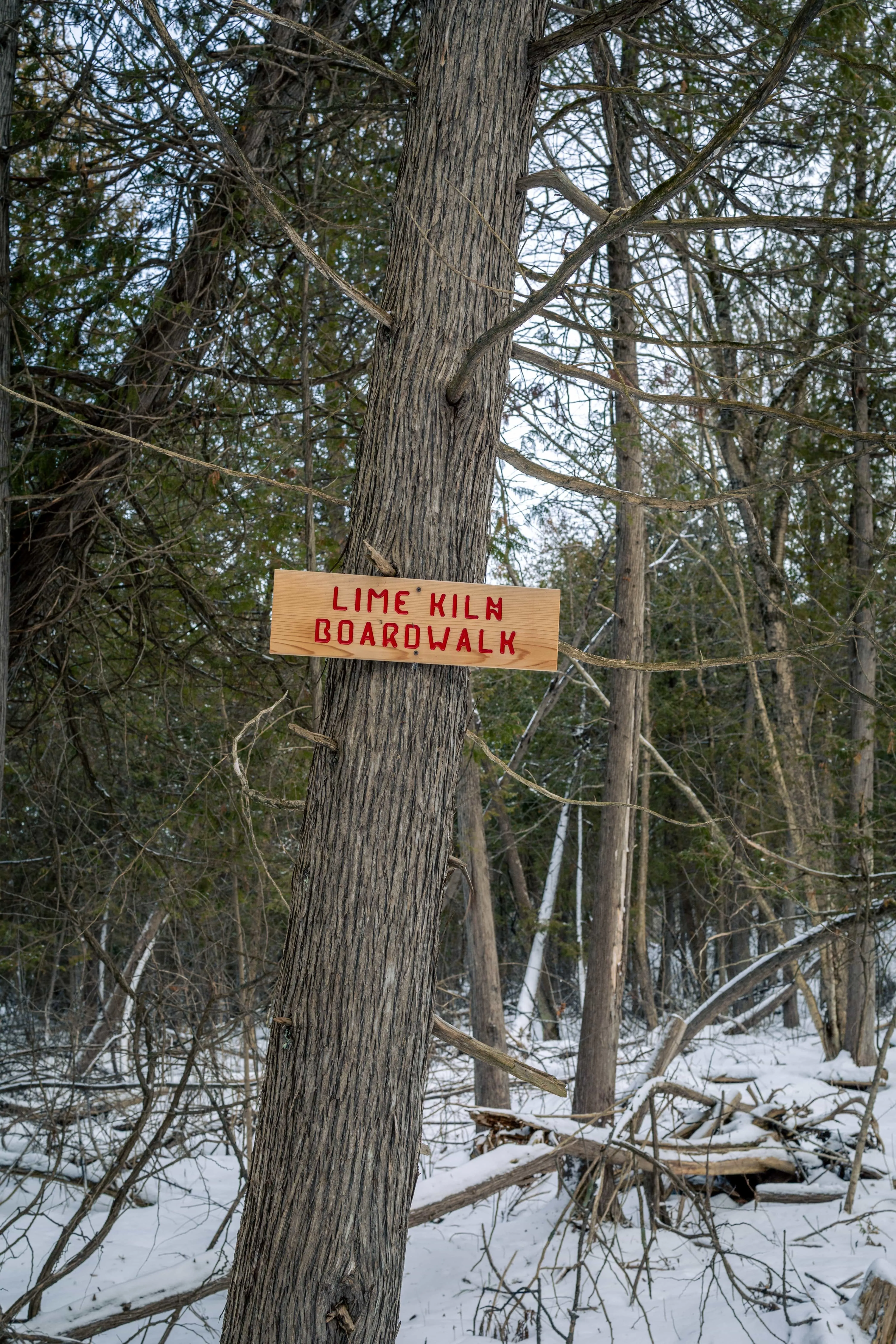 SNOVAP Winter Adventure Hike: Intermediate