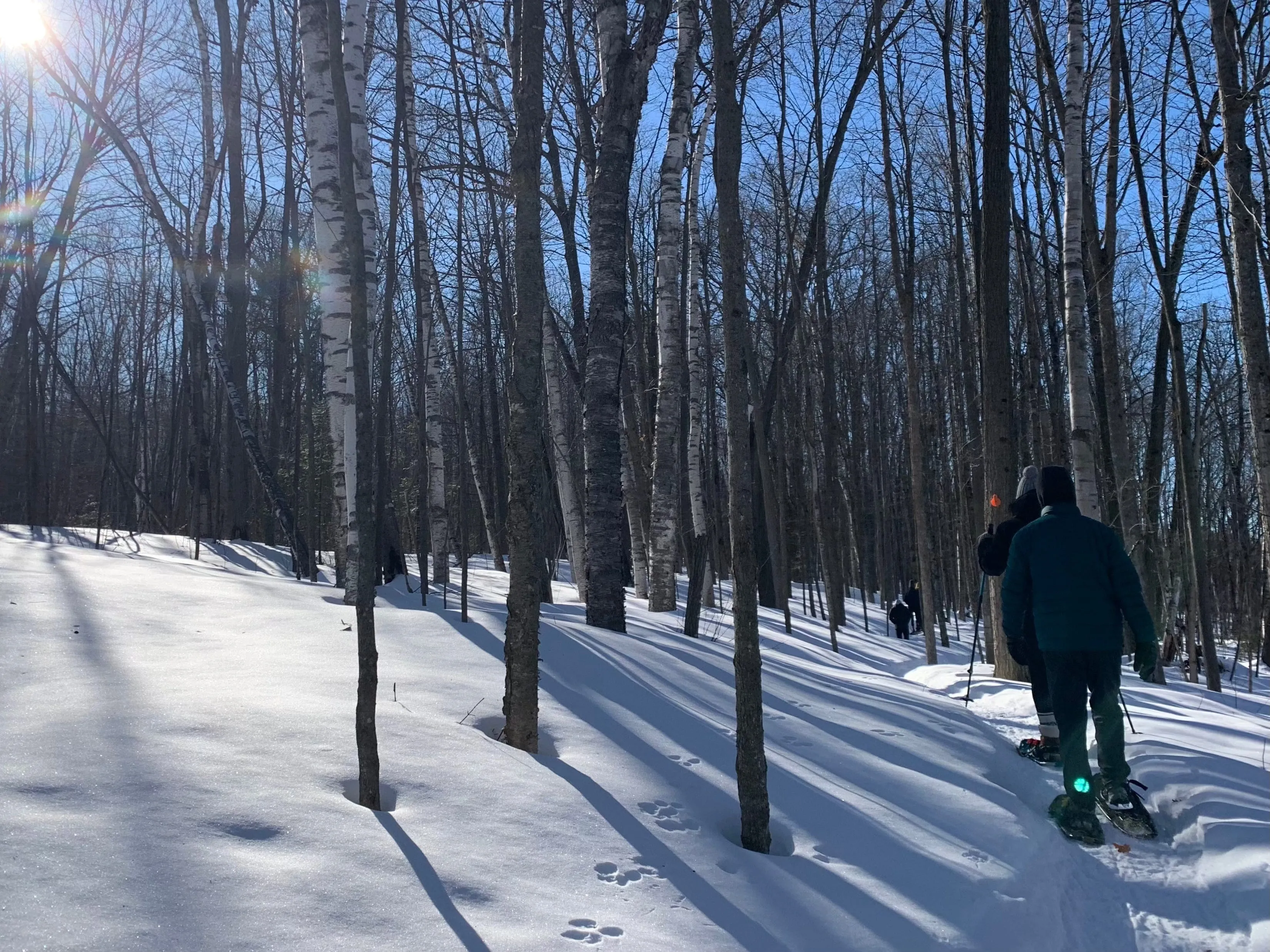 SNOVAP Winter Adventure Hike: Intermediate