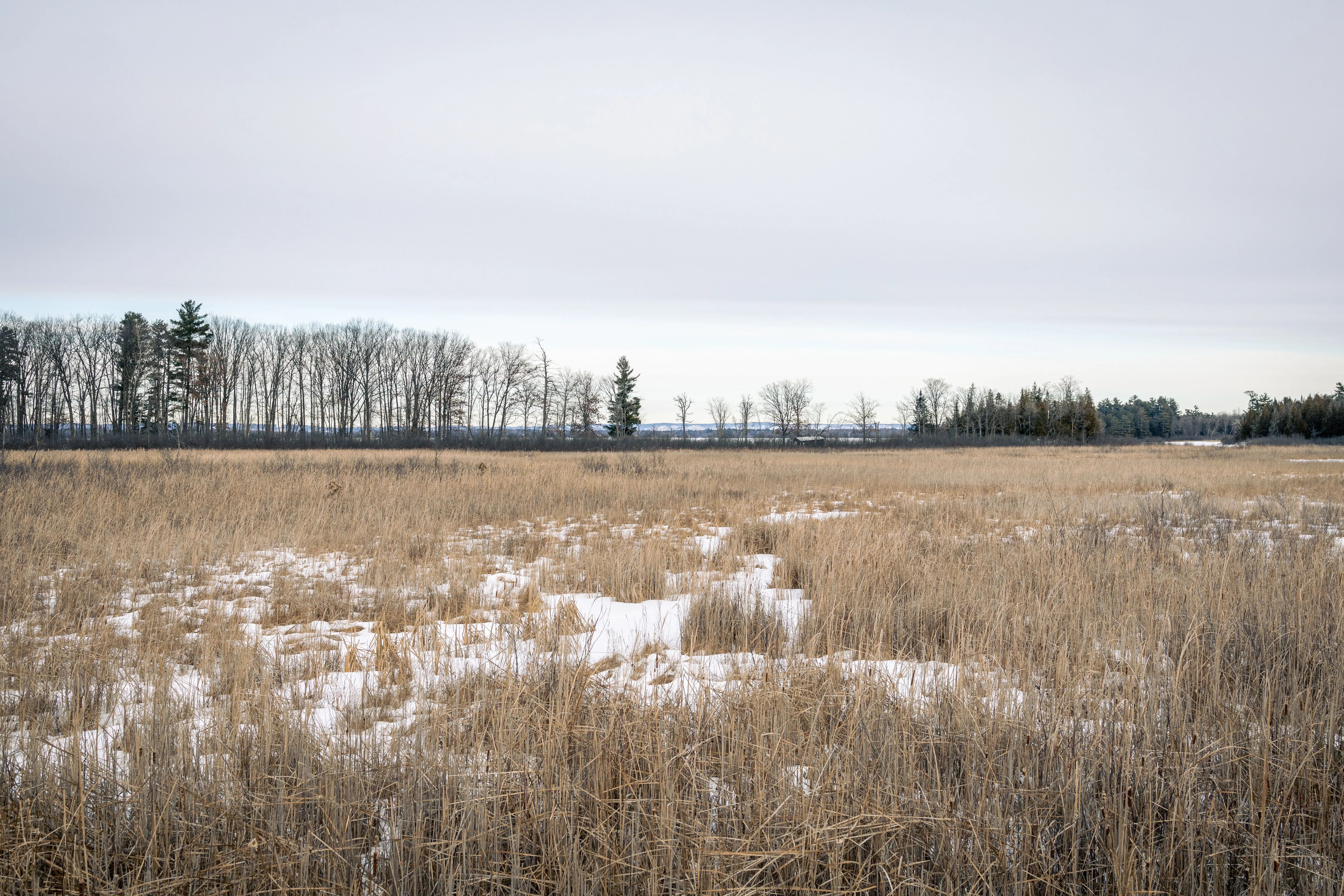 SNOVAP Winter Adventure Hike: Intermediate