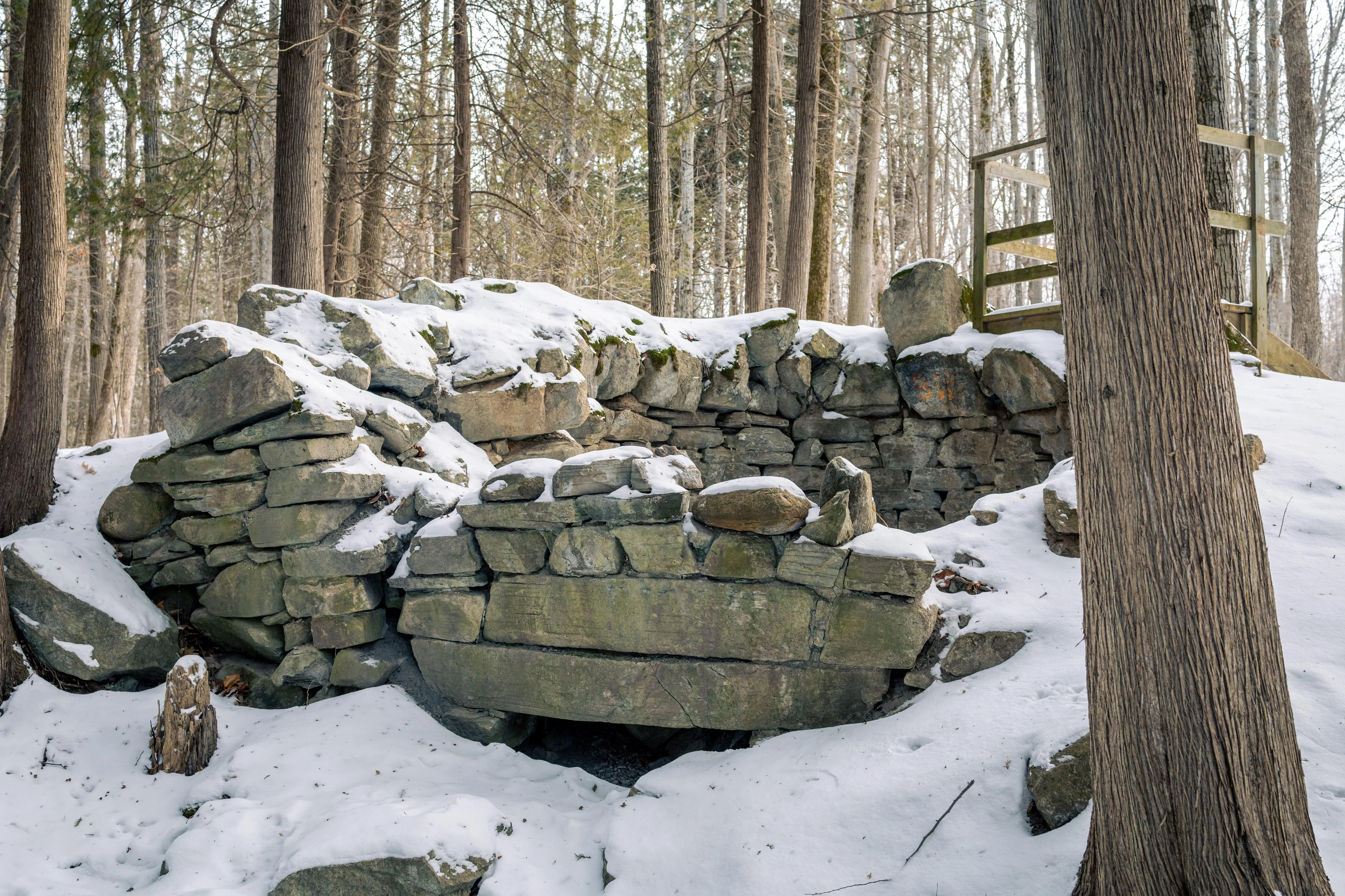 SNOVAP Winter Adventure Hike: Intermediate