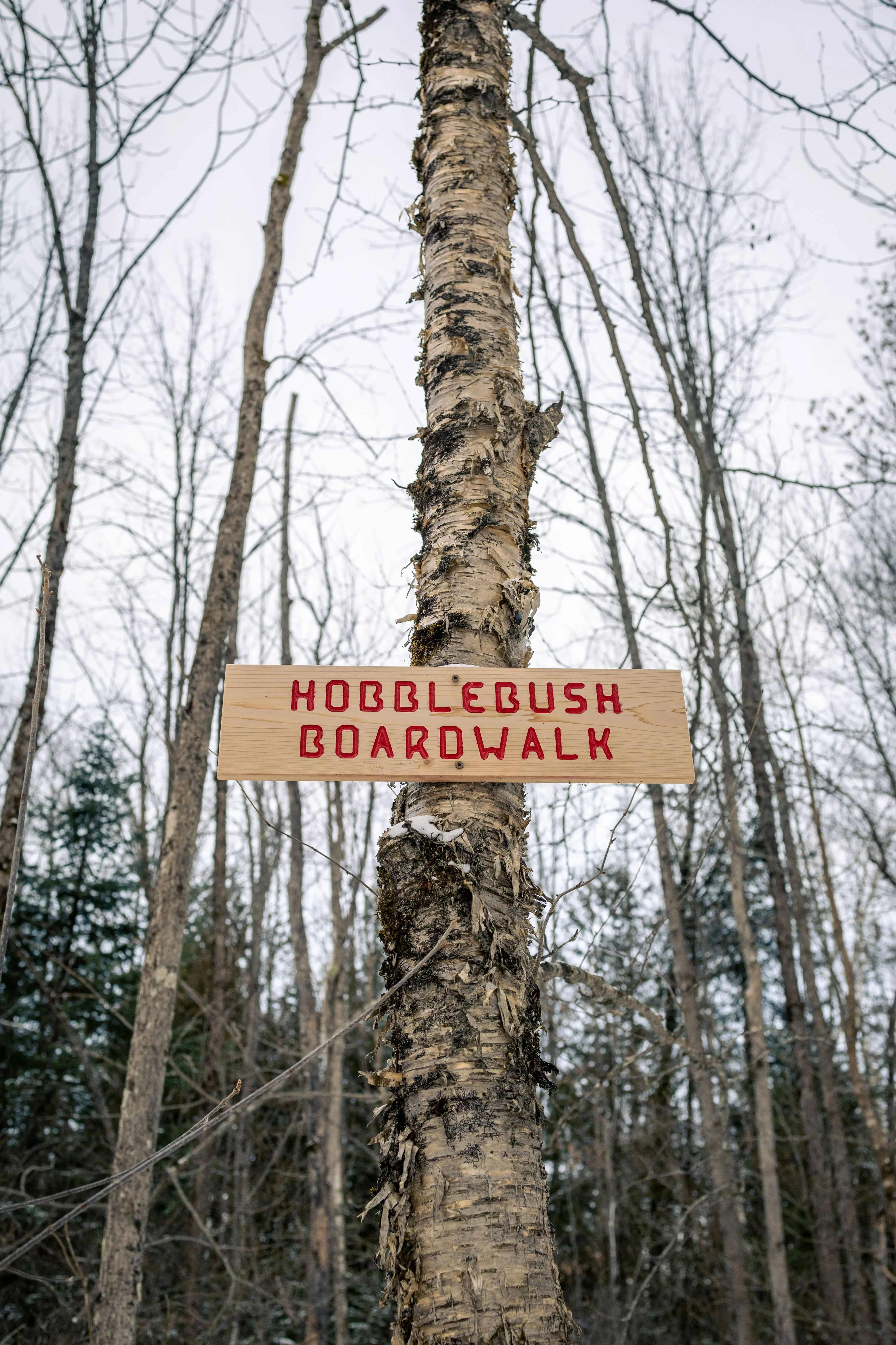 SNOVAP Winter Adventure Hike: Intermediate