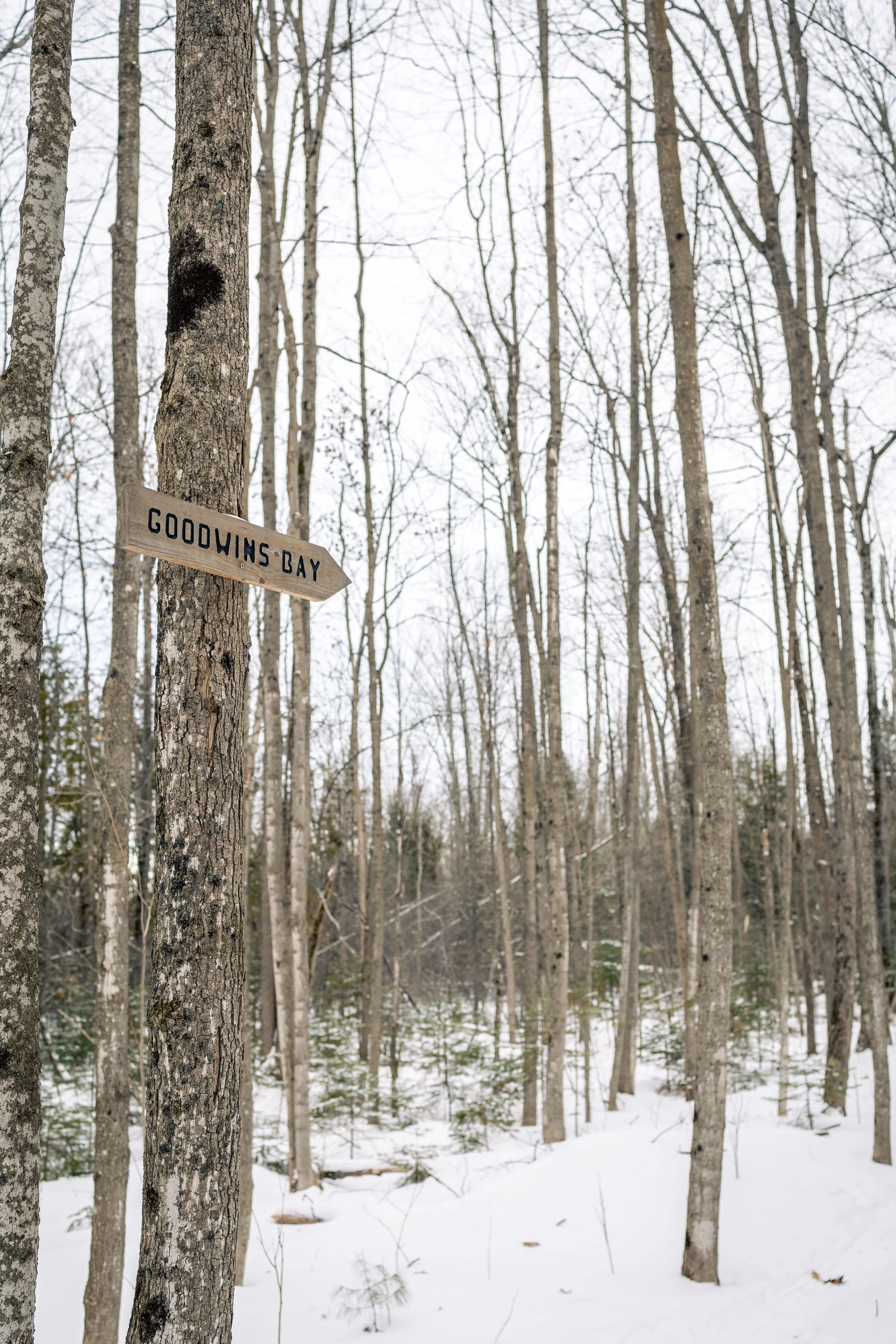 SNOVAP Winter Adventure Hike: Intermediate