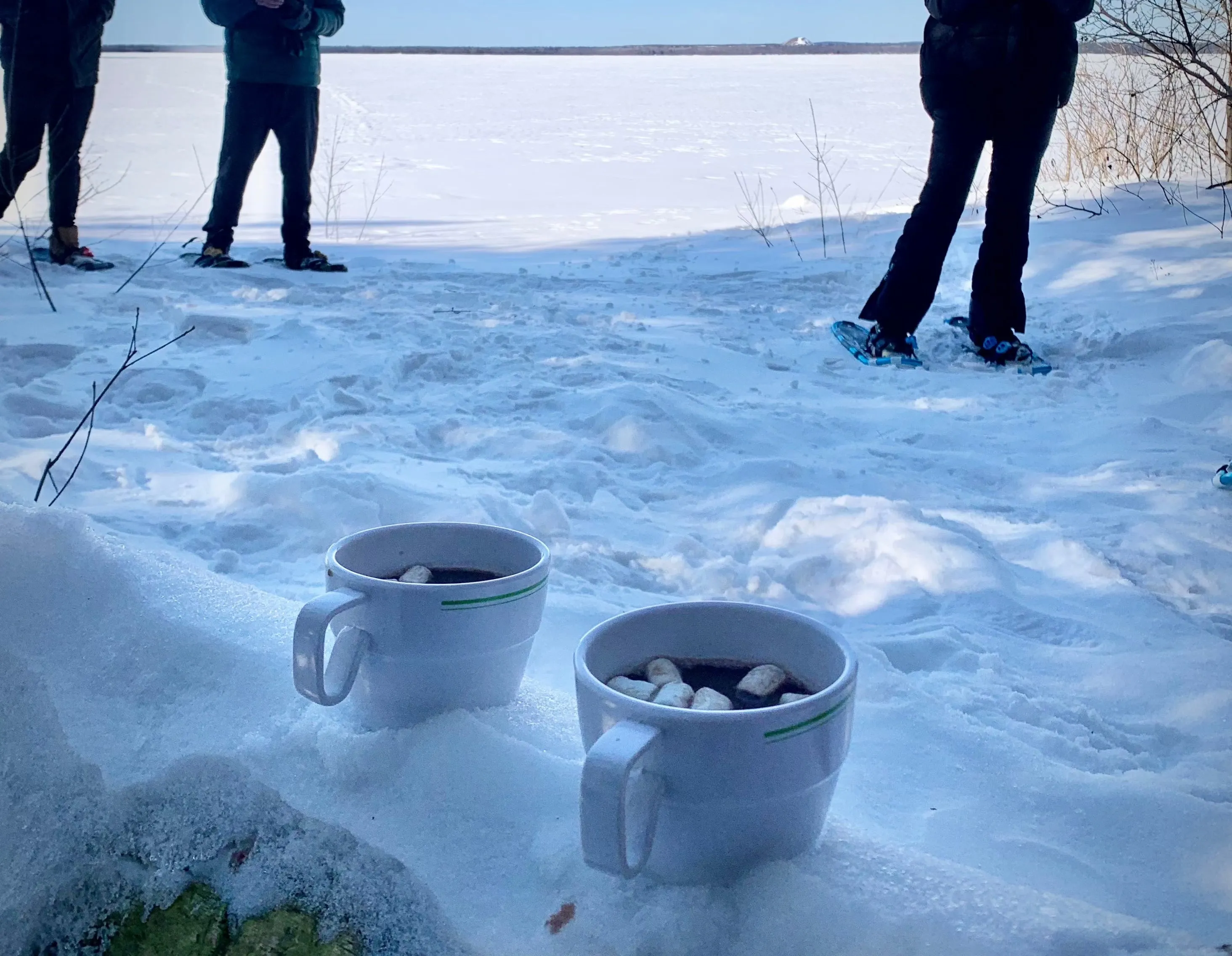 SNOVAP Winter Adventure Hike: Intermediate