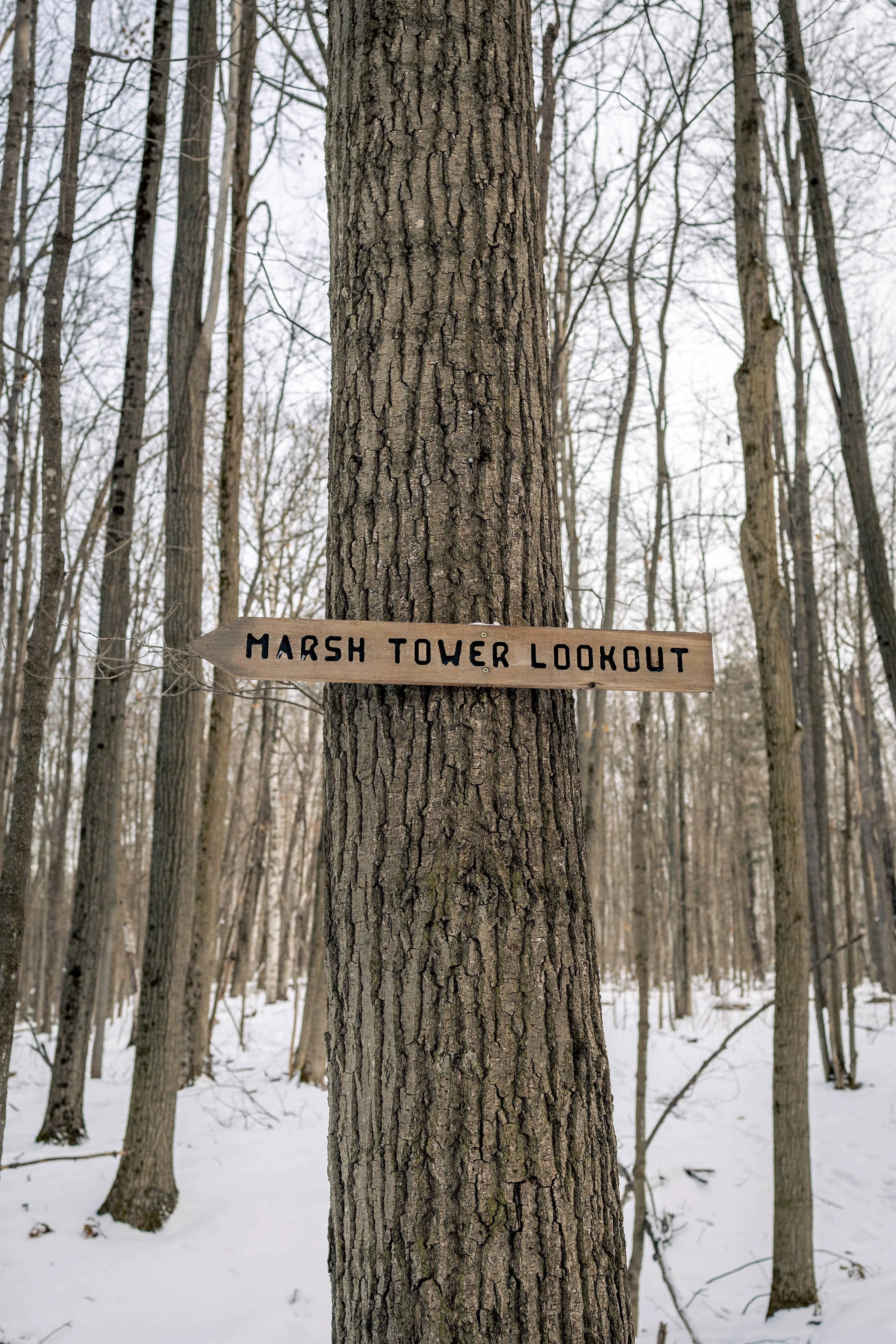 SNOVAP Winter Adventure Hike: Intermediate