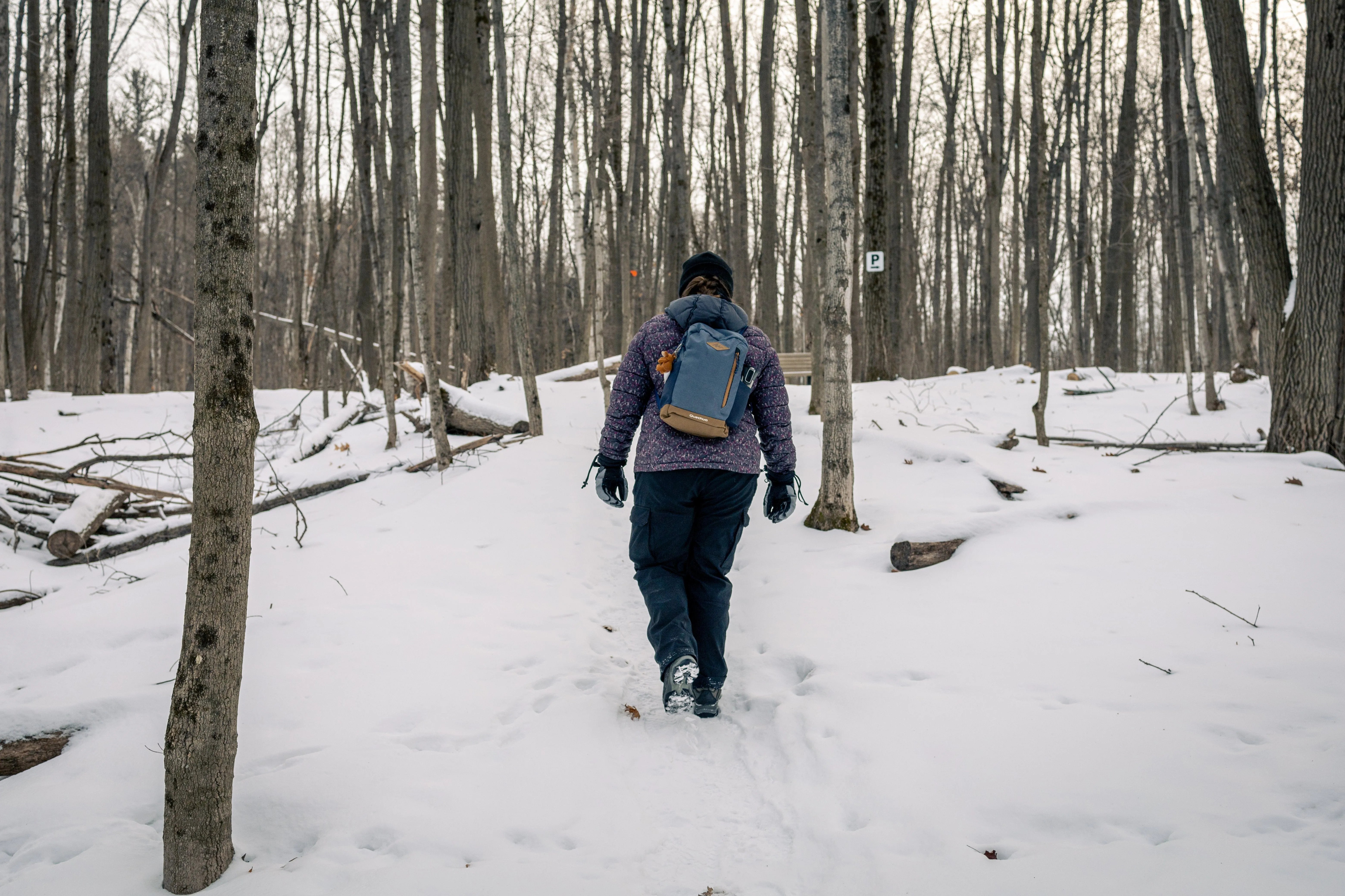 SNOVAP Winter Adventure Hike: Intermediate