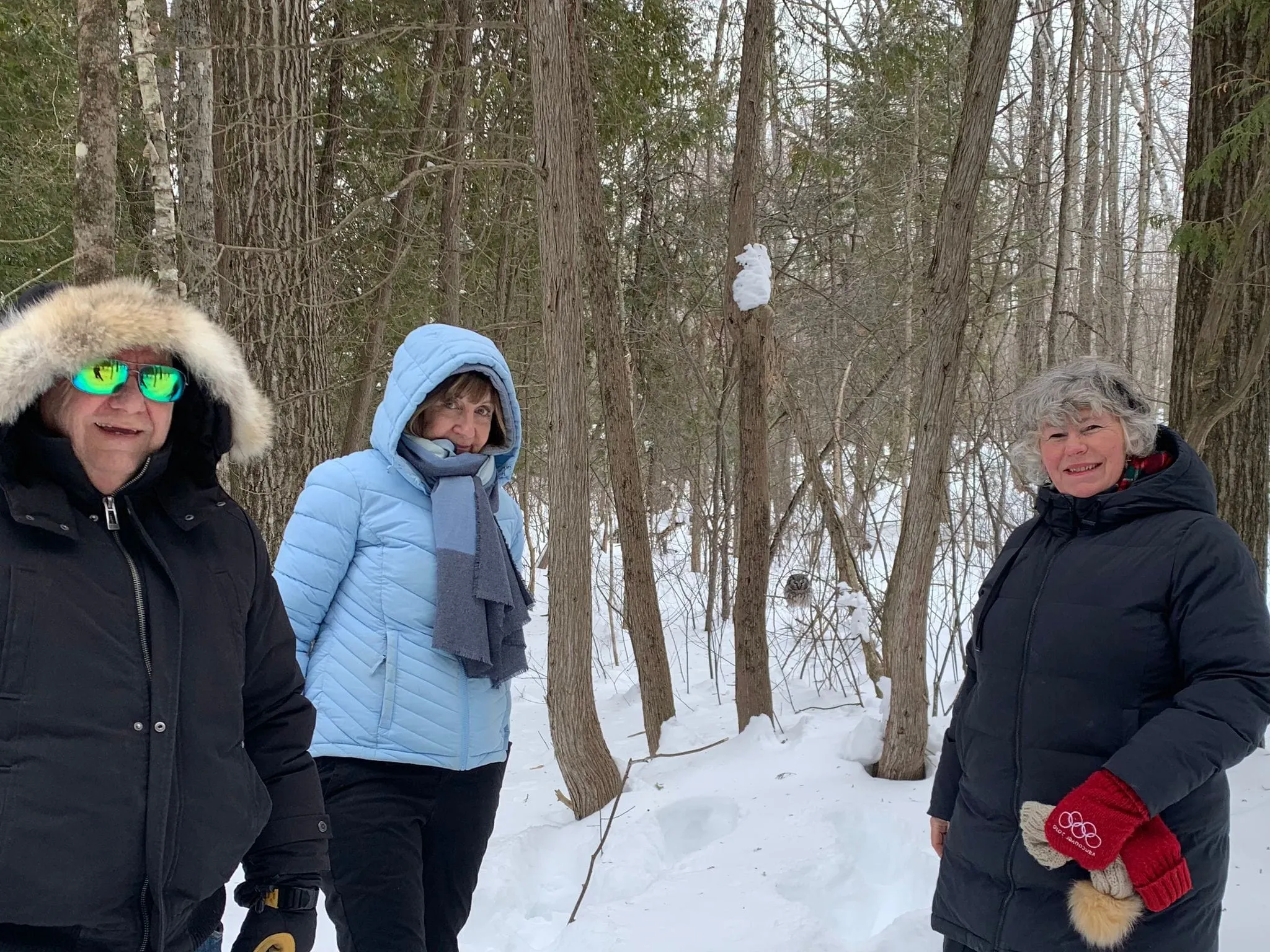 SNOVAP Winter Adventure Hike: Intermediate