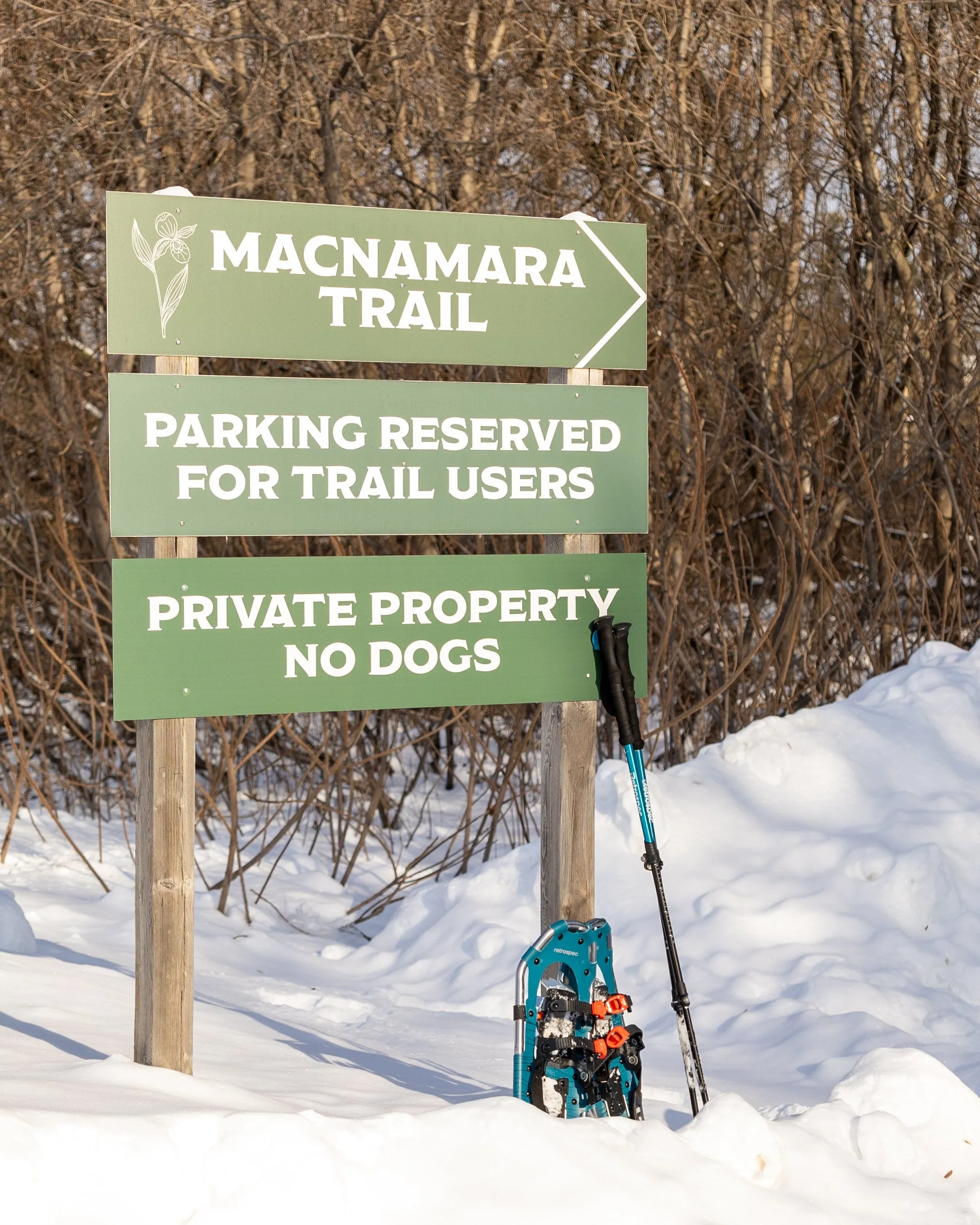 SNOVAP Winter Adventure Hike: Intermediate